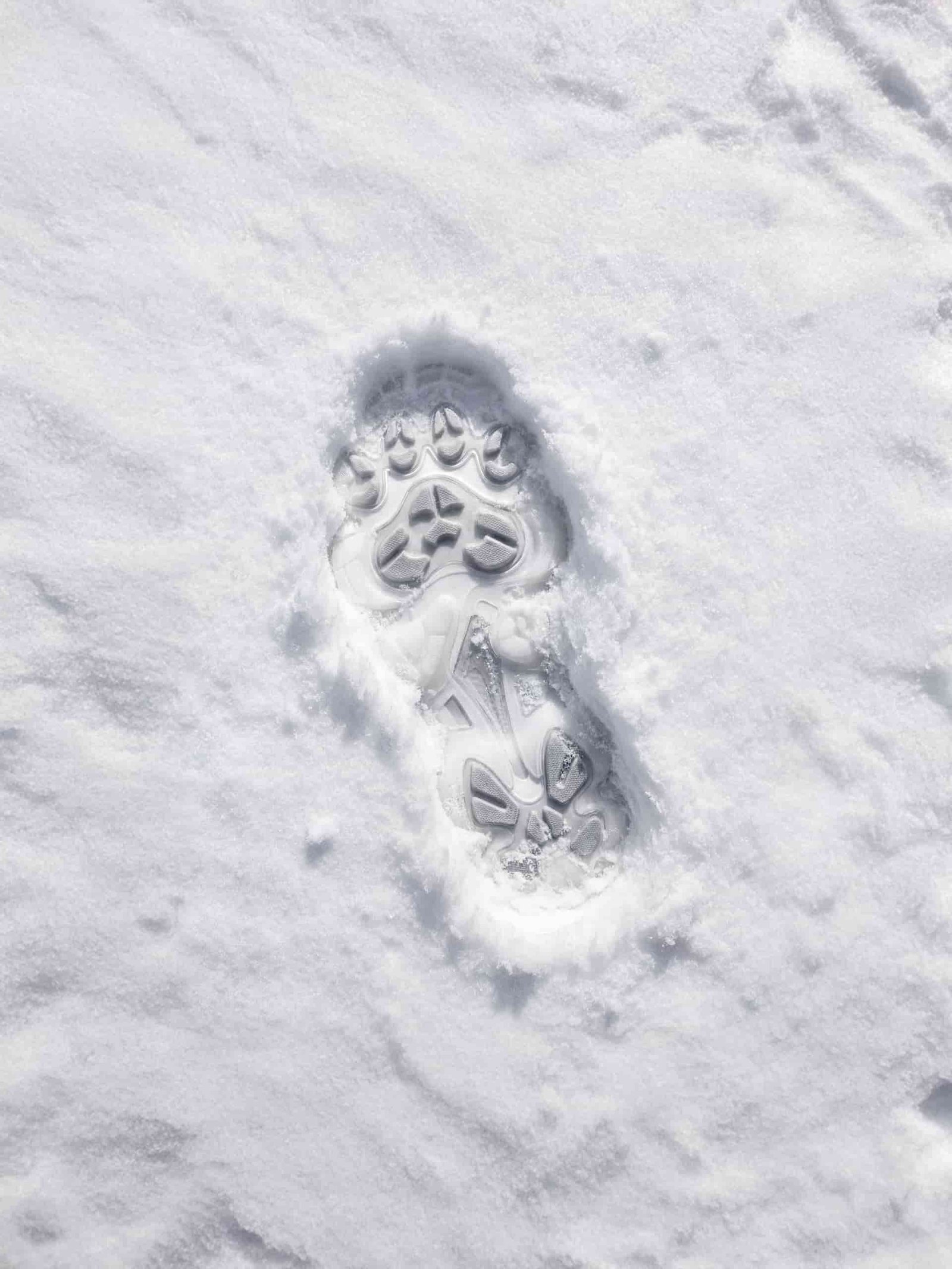 Nike concept leopard 001 ads ai graphic design photography Belgium 12 – projet Nike panther 001 | Pulsa Lab
