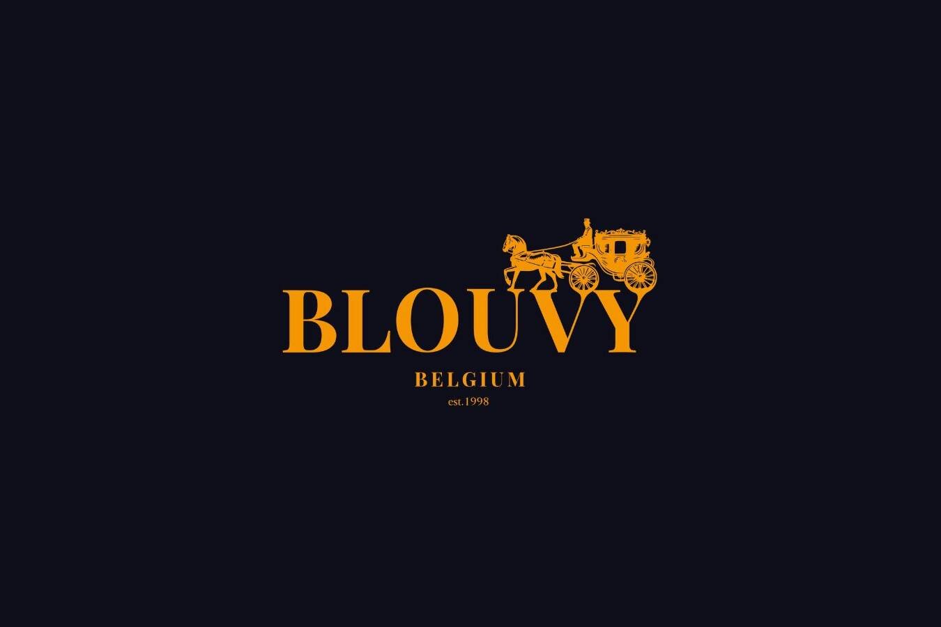 Logo Blouvy – client Pulsa Lab